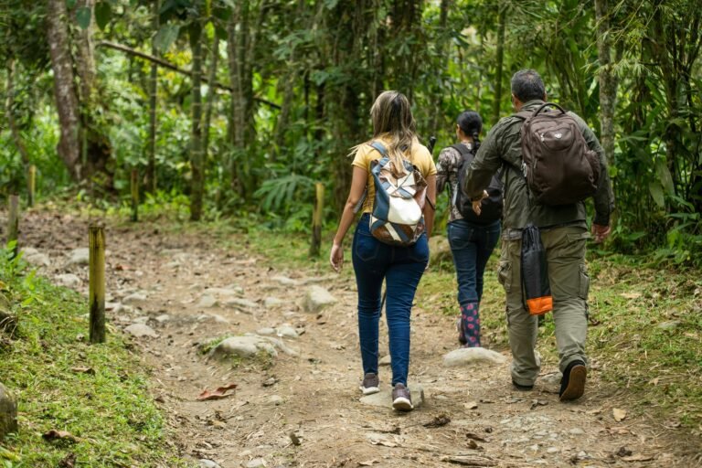 Brahmagiri Peak Trek – A Hidden Gem on the Karnataka-Kerala Border