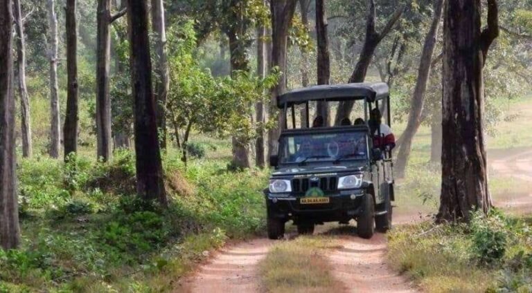 Discover the Wild Wonders of Nagarahole – A Day Trip from Villa Katipadu